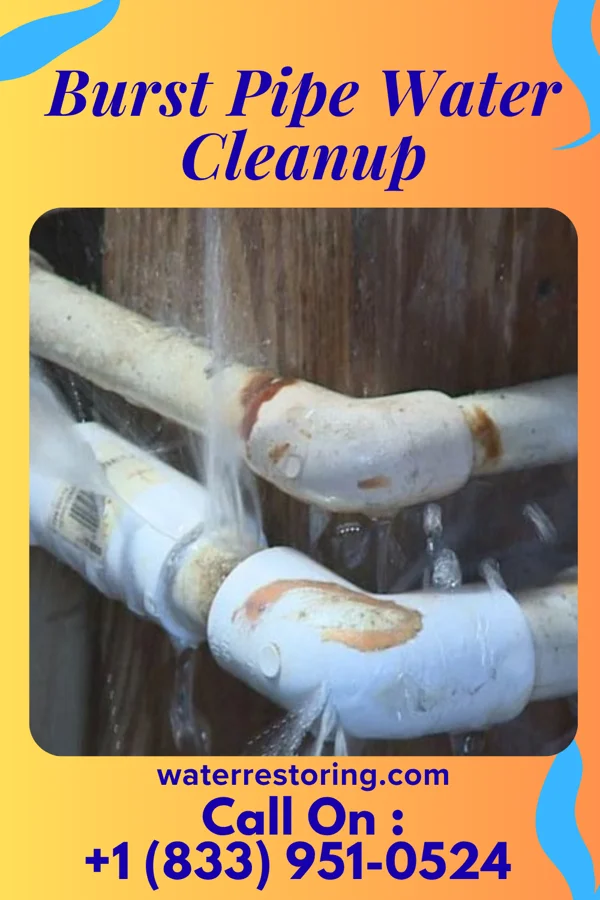 Burst Pipe Water Cleanup in Northumberland, PA