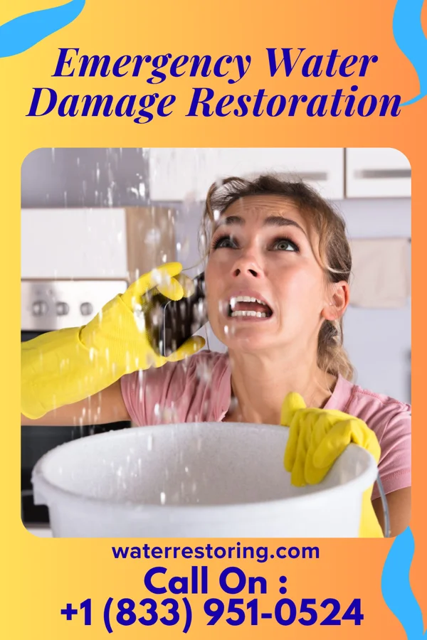 Emergency Water Damage Restoration in Northumberland, PA