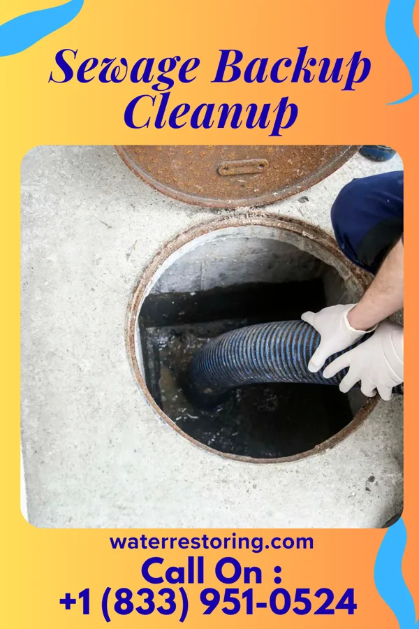 Sewage Backup Cleanup in Northumberland, PA