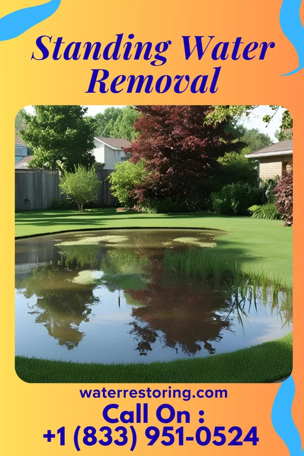 Standing Water Removal in Northumberland, PA